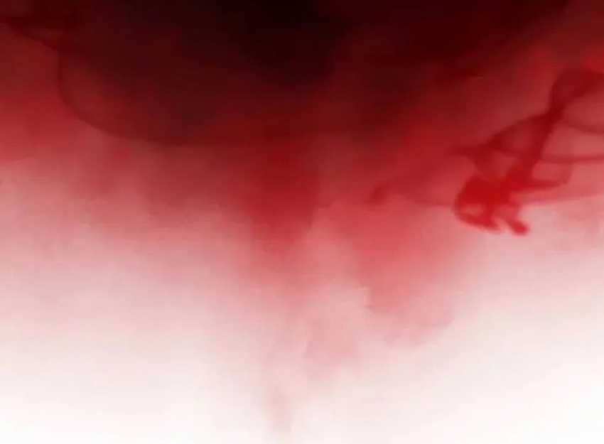 The Regressed Son Of A Duke Is An Assassin Chapter 58 Gambar 80