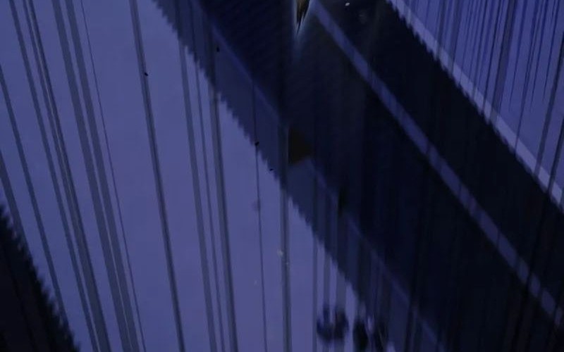 Number One Star Instructor Master Baek Chapter 113 Gambar 65