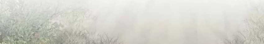 The World’s Best Sect of Dependency Chapter 58 Gambar 38