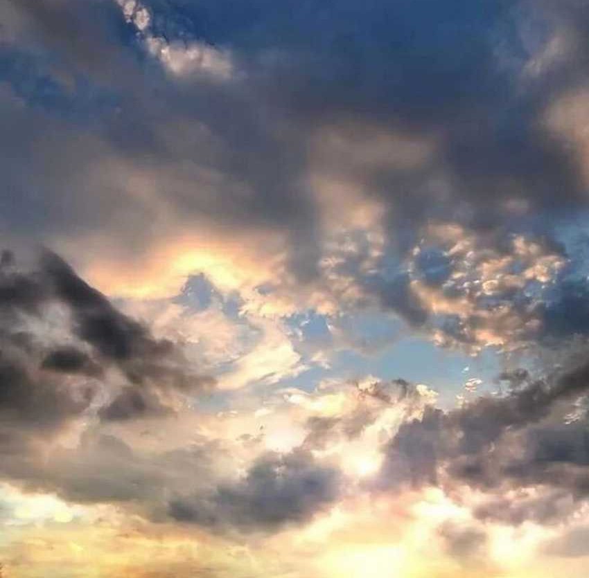 The World’s Best Sect of Dependency Chapter 58 Gambar 40