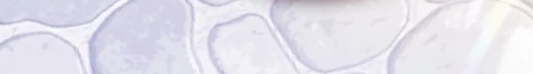 The Ugly Wife of The Shady Duke Chapter 06 Gambar 78