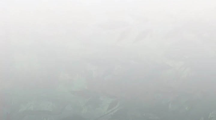 Entomologist in Sichuan Tang Clan Chapter 12 Gambar 75