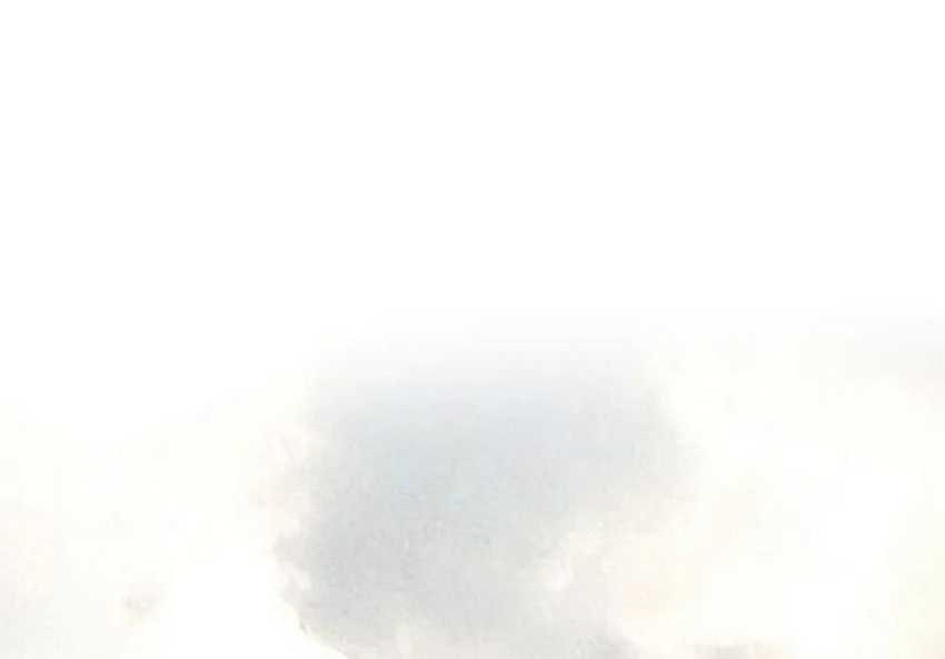 The World’s Best Sect of Dependency Chapter 55 Gambar 81