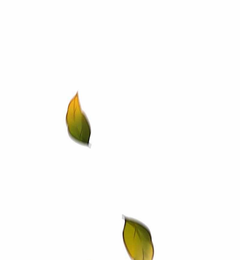 Regression of the Close Combat Mage Chapter 40 Gambar 51