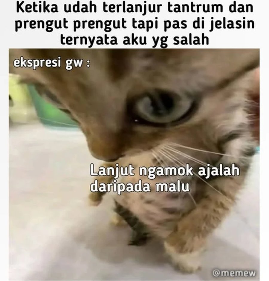 The Rebirth of the Hero’s Party’s Archmage Chapter 70 Gambar 48