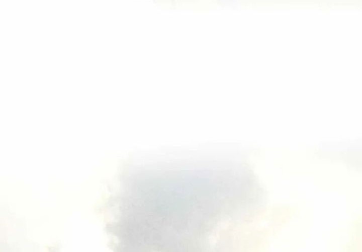 The World’s Best Sect of Dependency Chapter 59 Gambar 66