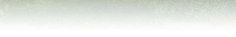 The Beginning After The End Chapter 113 Gambar 92