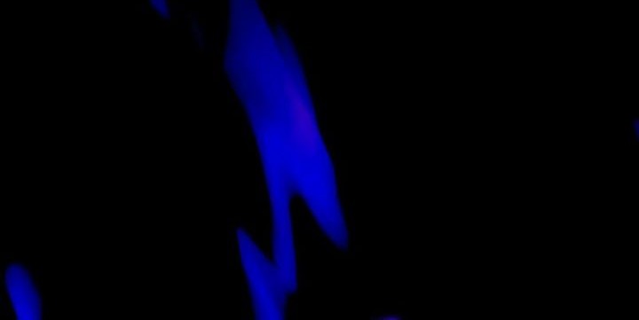 Villain To Kill Chapter 132 Gambar 34