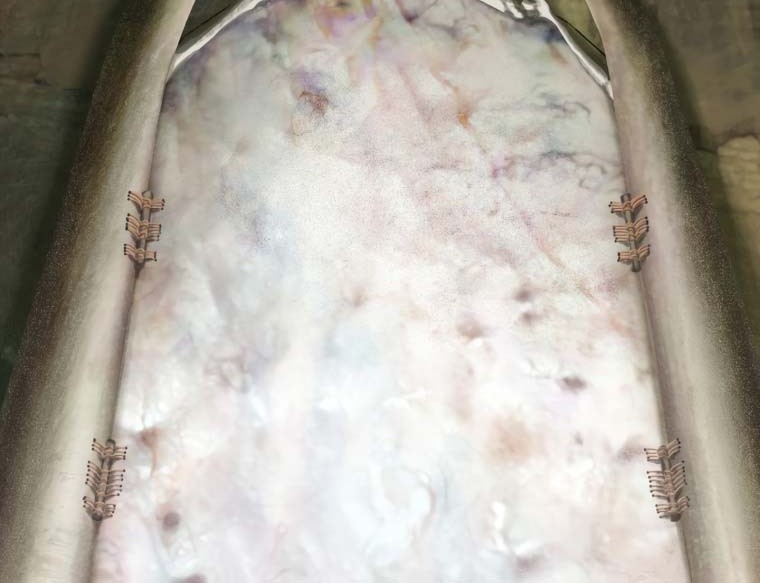 Sword King Chapter 116 Gambar 10