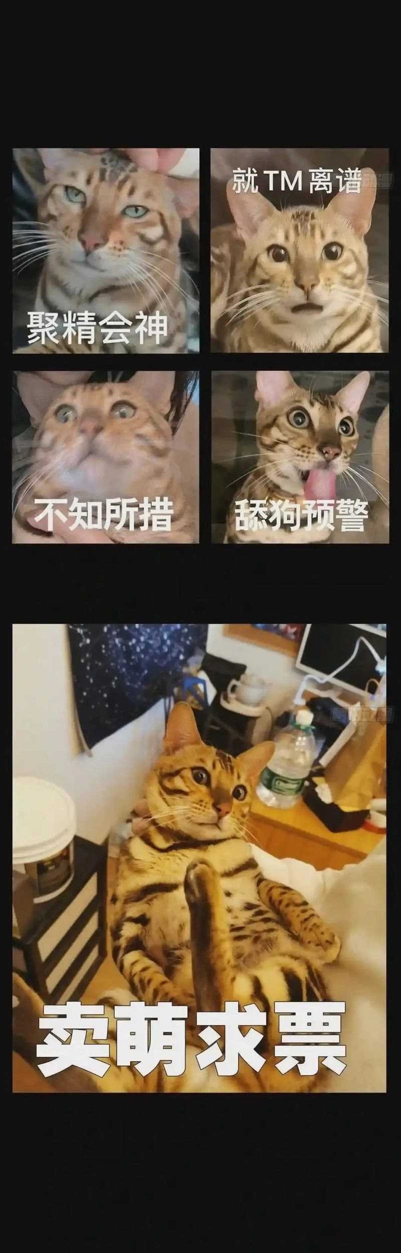 Da Xiang Wuxing Chapter 124 Gambar 26