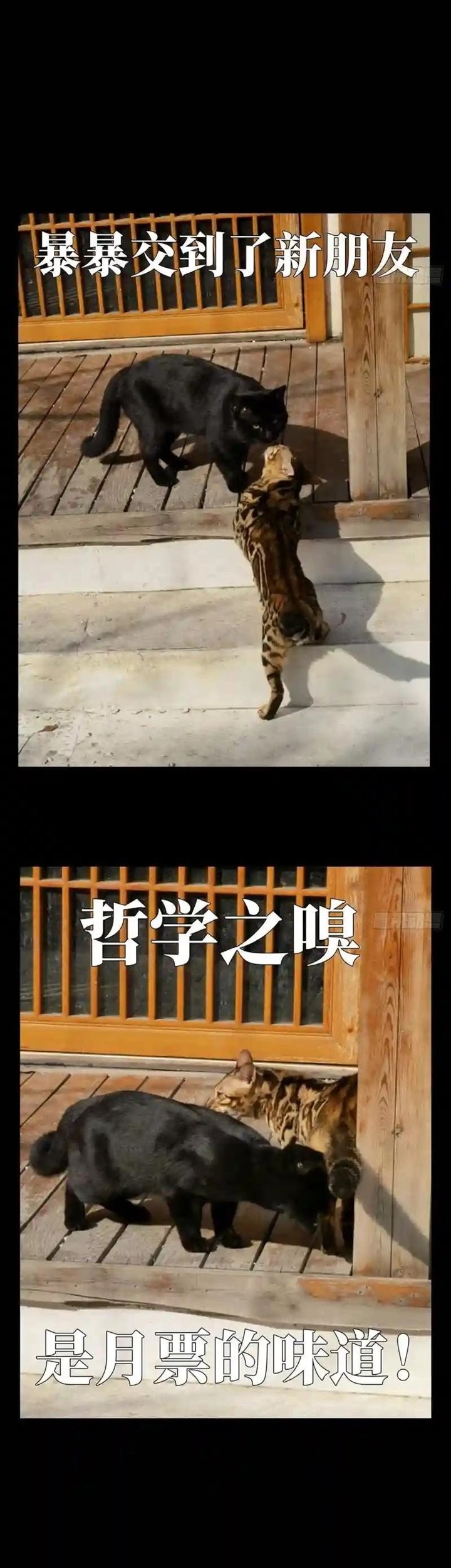 Da Xiang Wuxing Chapter 117 Gambar 26