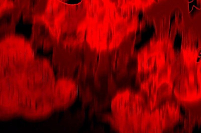 SSS-Class Suicide Hunter Chapter 41 Gambar 13