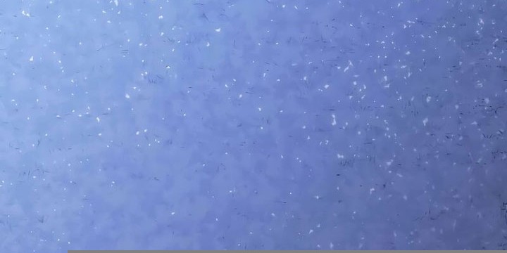 Grim Reaper of the Drifting Moon Chapter 83 Gambar 88