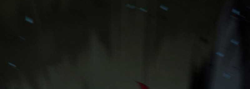 Mudang Association Chapter 133 Gambar 64