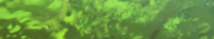 Second Life Ranker Chapter 132 Gambar 37