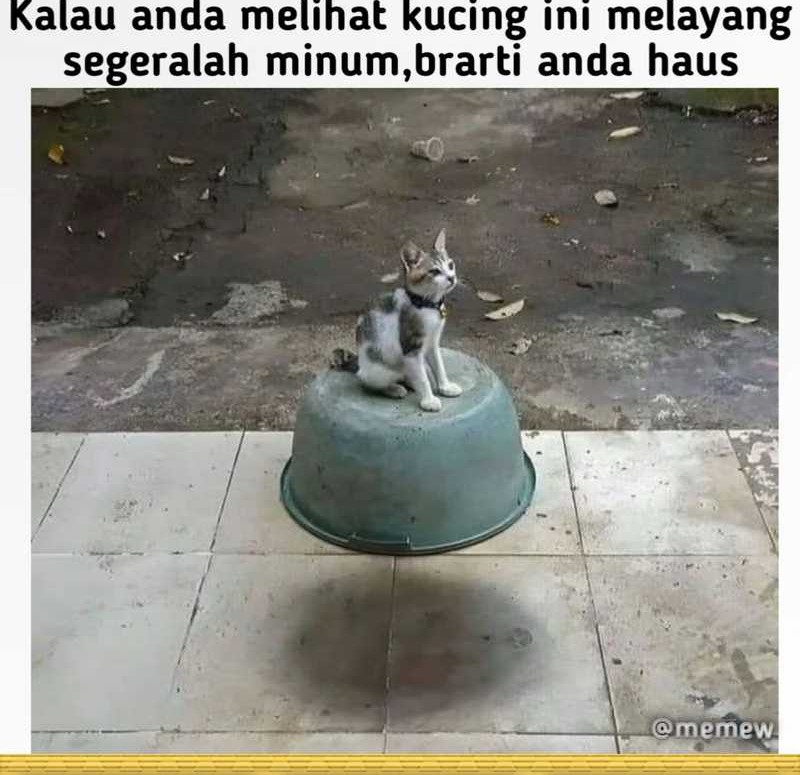 Heavenly Demon Wants to Be a Chef Chapter 32 Gambar 107