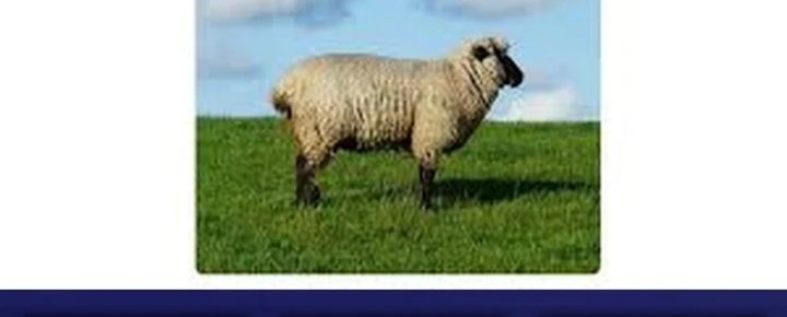 Heavenly Demon Wants to Be a Chef Chapter 17 Gambar 89