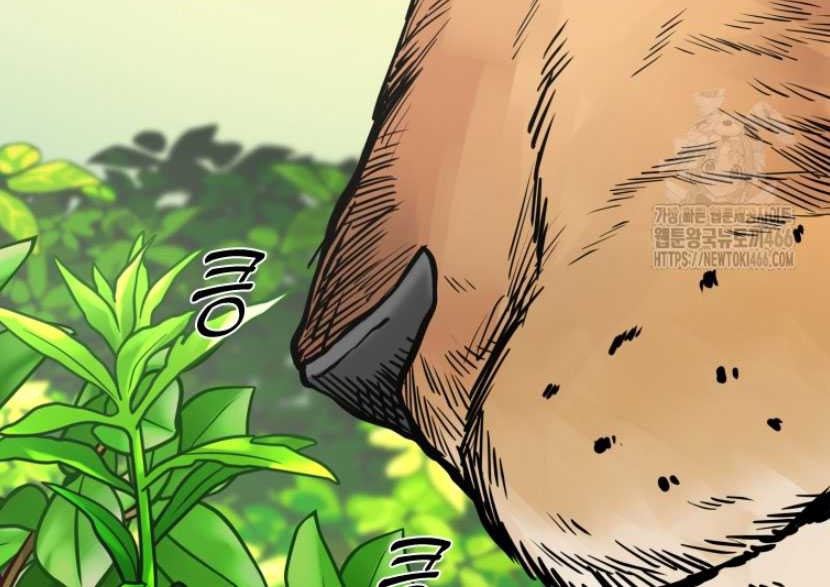 Shark Chapter 347 Gambar 7