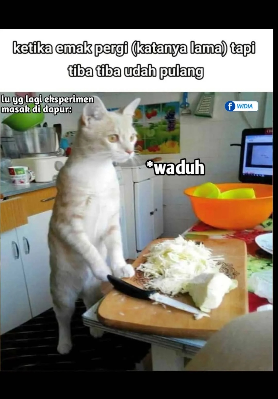 Shangri-La Frontier ~ Kusoge Hunter, Kamige ni Idoman to su~ Chapter 213 Gambar 20