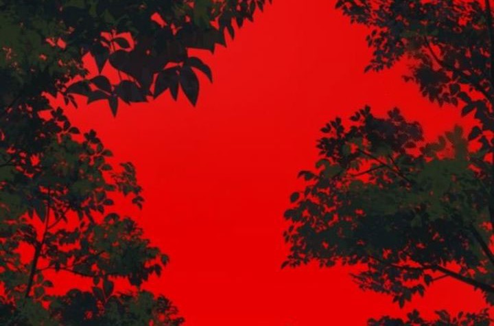 Song Baek Chapter 38 Gambar 65