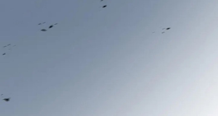 Leveling Up, By Only Eating! Chapter 188 Gambar 65