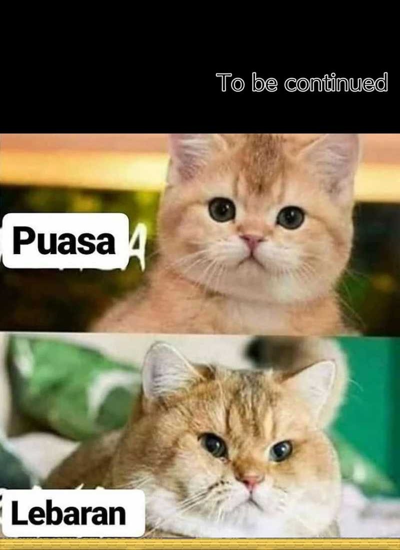 The Rebirth of the Hero’s Party’s Archmage Chapter 76 Gambar 53