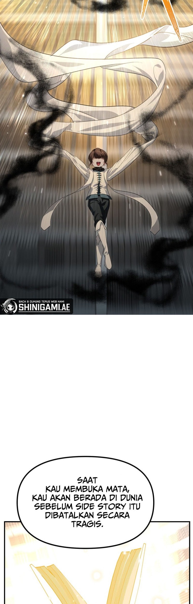 SSS-Class Suicide Hunter Chapter 133 Gambar 46