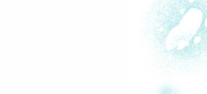 Black Killer Whale Baby Chapter 50 Gambar 83