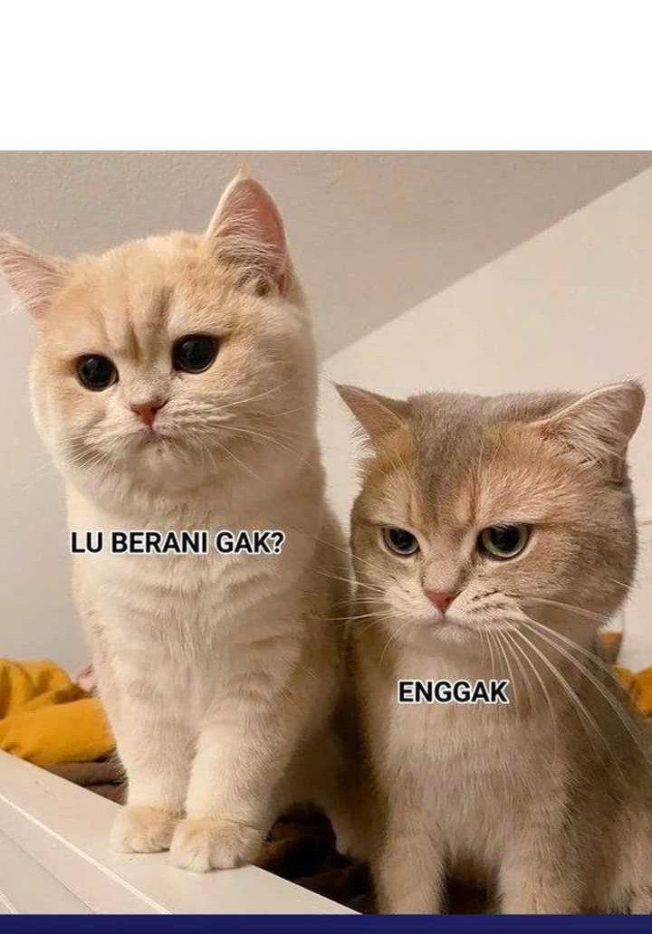 Global Gao Wu Chapter 266 Gambar 45