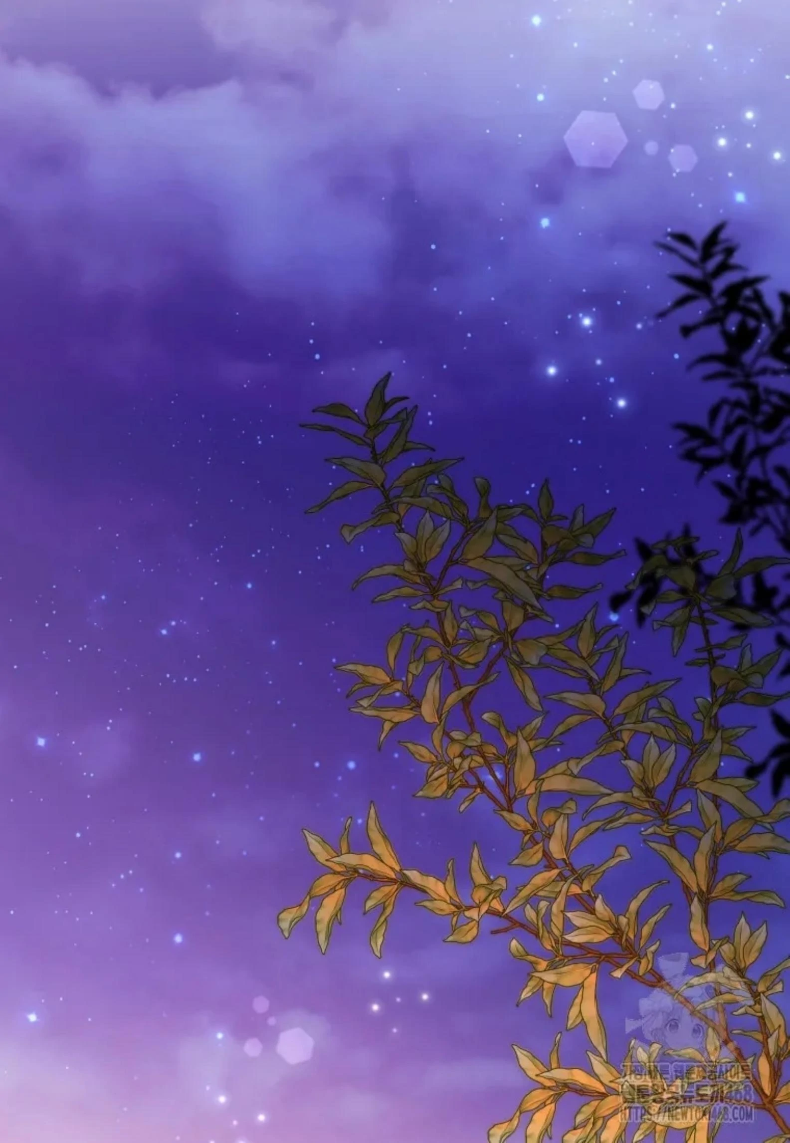 Black Killer Whale Baby Chapter 52 Gambar 89