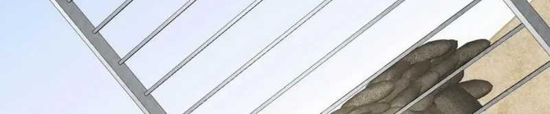 After Improperly Licking a Dog, I Became a Billionaire Chapter 183 Gambar 6