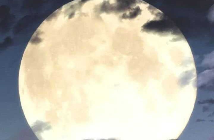 Kill The Dragon Chapter 143 Gambar 80