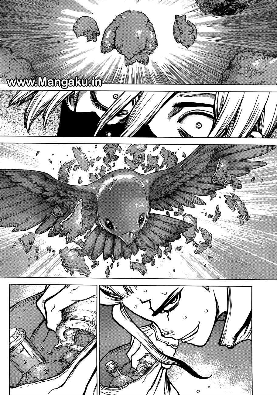 Dr. Stone Chapter 80 Gambar 15