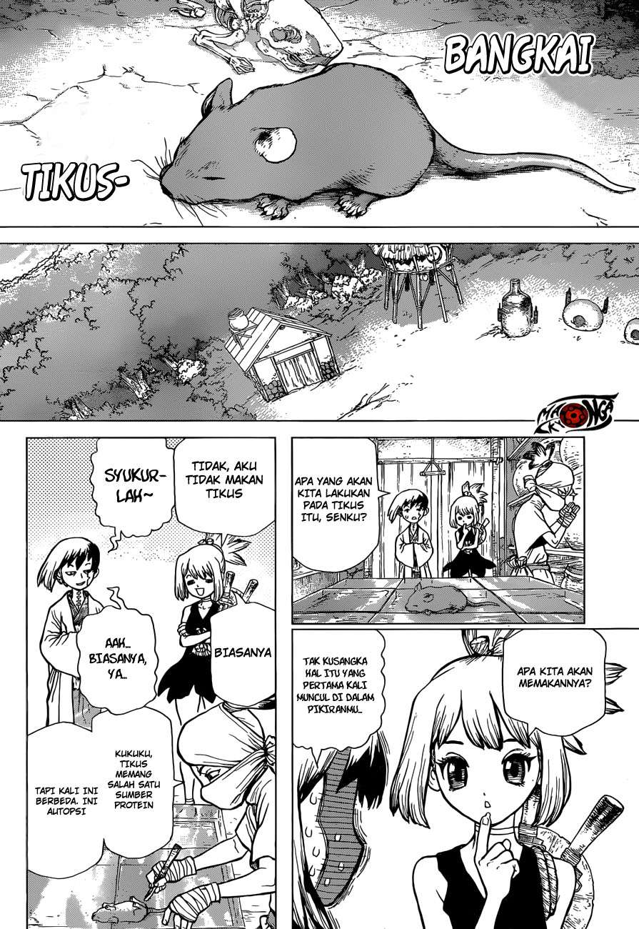 Dr. Stone Chapter 41 Gambar 4
