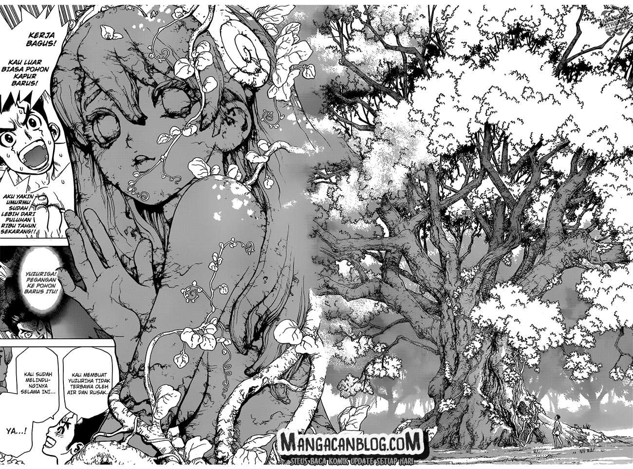 Dr. Stone Chapter 01 Gambar 33