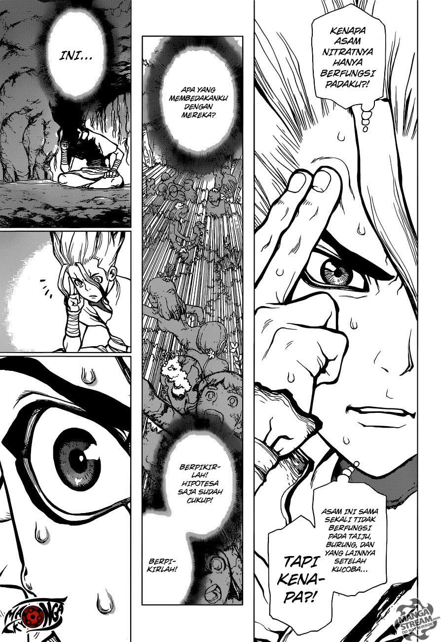 Dr. Stone Chapter 14 Gambar 13