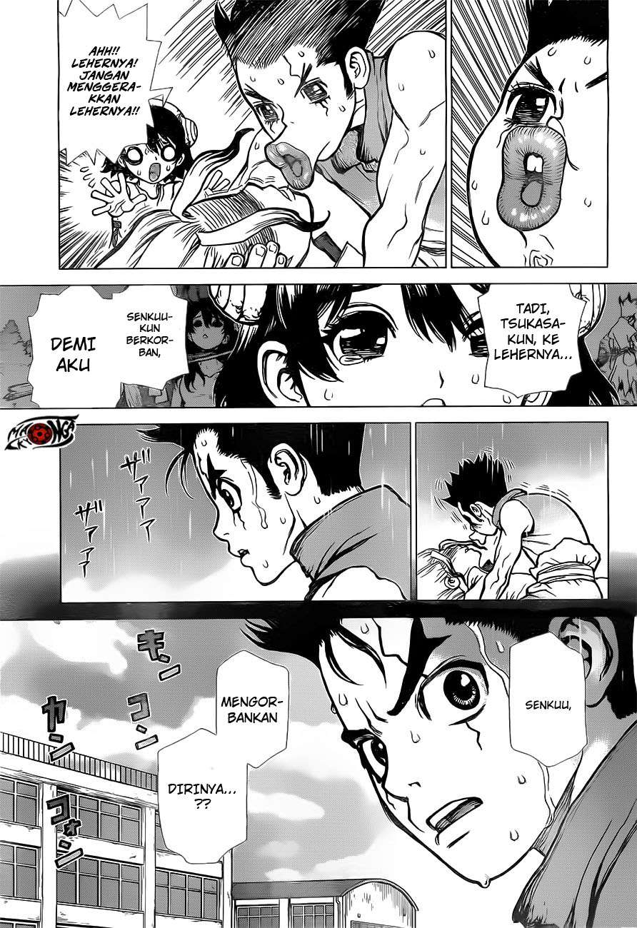 Dr. Stone Chapter 12 Gambar 8