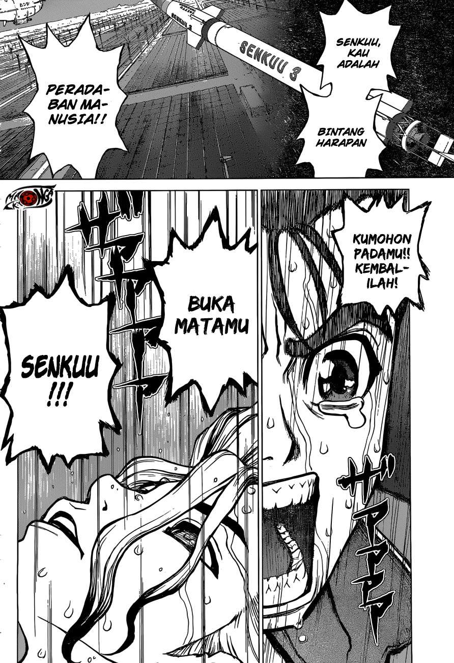 Dr. Stone Chapter 12 Gambar 16
