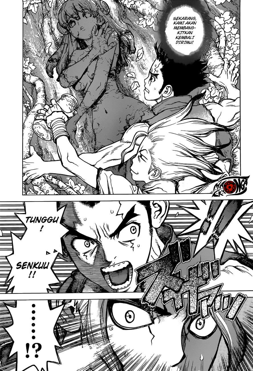 Dr. Stone Chapter 03 Gambar 4