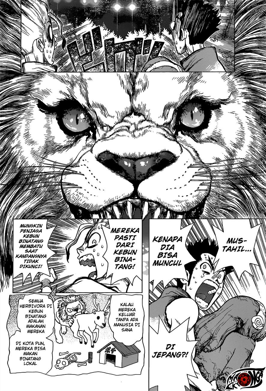 Dr. Stone Chapter 03 Gambar 7