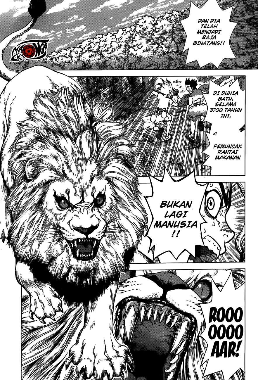 Dr. Stone Chapter 03 Gambar 8