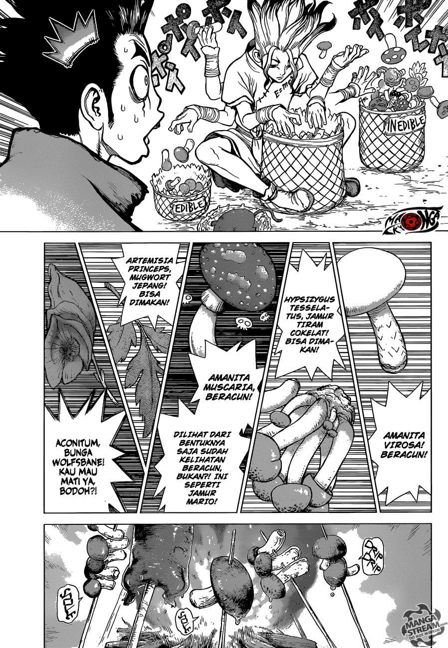 Dr. Stone Chapter 02 Gambar 4