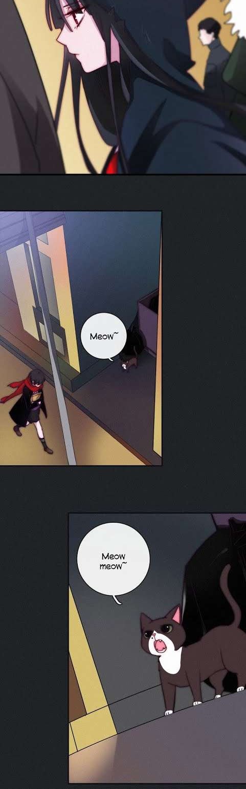 Falling in the Night with You Chapter 01 Gambar 13