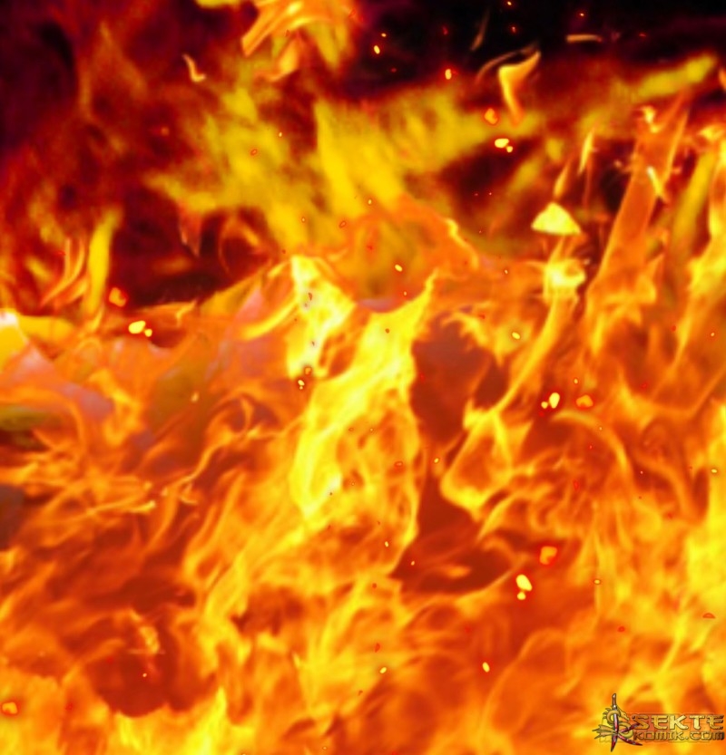 I Picked Up An Attribute Chapter 37 Gambar 56