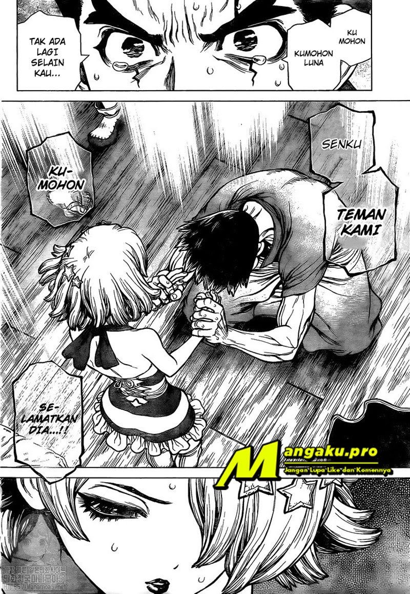 Dr. Stone Chapter 160 Gambar 12