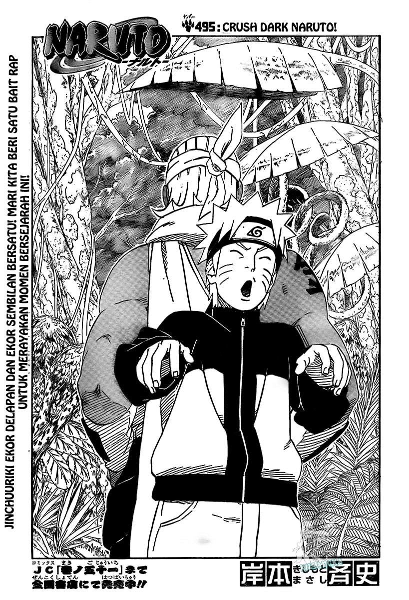 Manga Naruto Chapter 495 gambar nomor 2