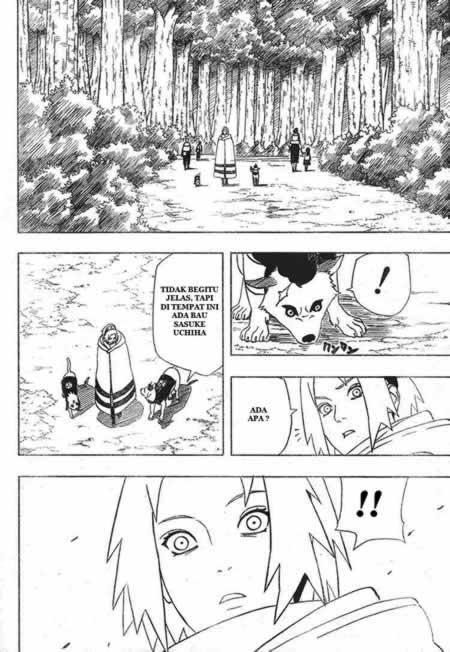 Naruto Chapter 355 Gambar 13