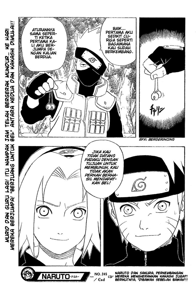Naruto Chapter 245 Gambar 19