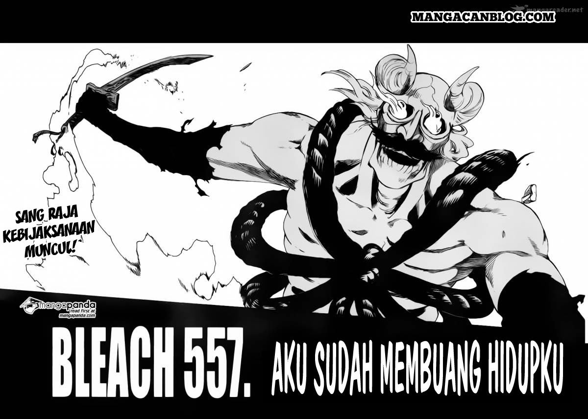 Bleach Chapter 557 Gambar 5