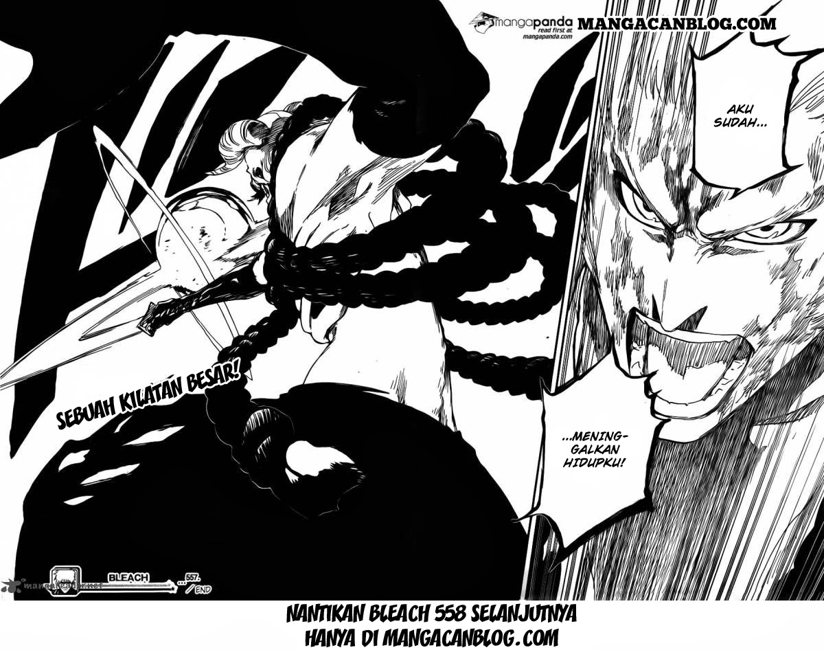 Bleach Chapter 557 Gambar 18